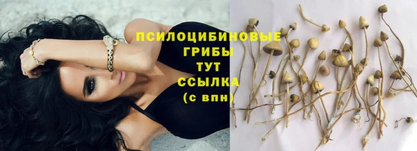 дурь Алексеевка