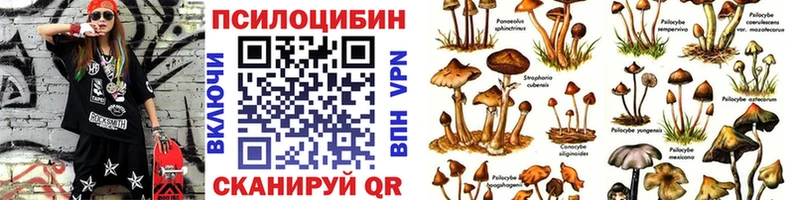 Псилоцибиновые грибы Psilocybine cubensis  Ковдор 