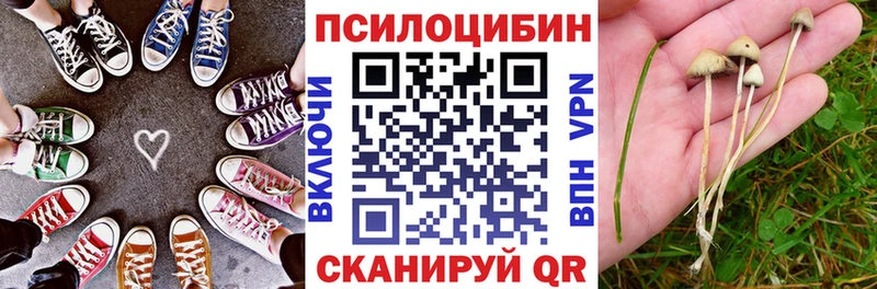 Галлюциногенные грибы мицелий Ковдор